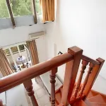 Mezoneta 4 Nidrí